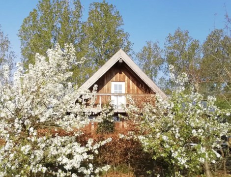Theehuis Bij de Boompjes Langs de Brabantse Aa