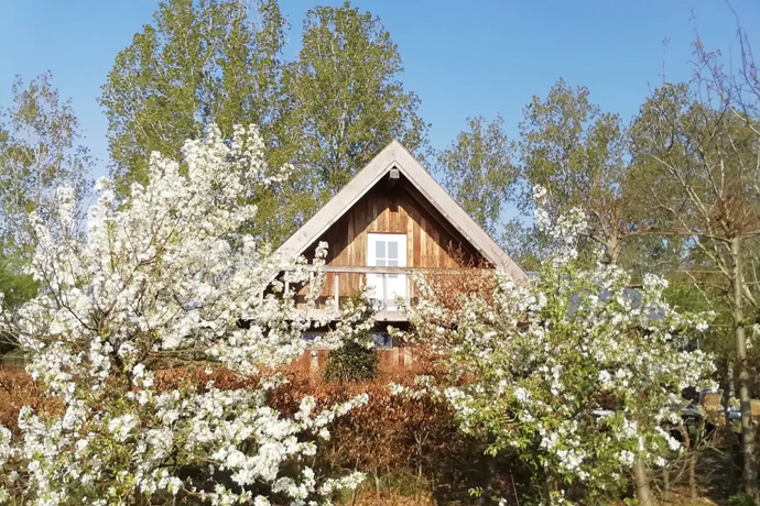 Theehuis Bij de Boompjes Langs de Brabantse Aa